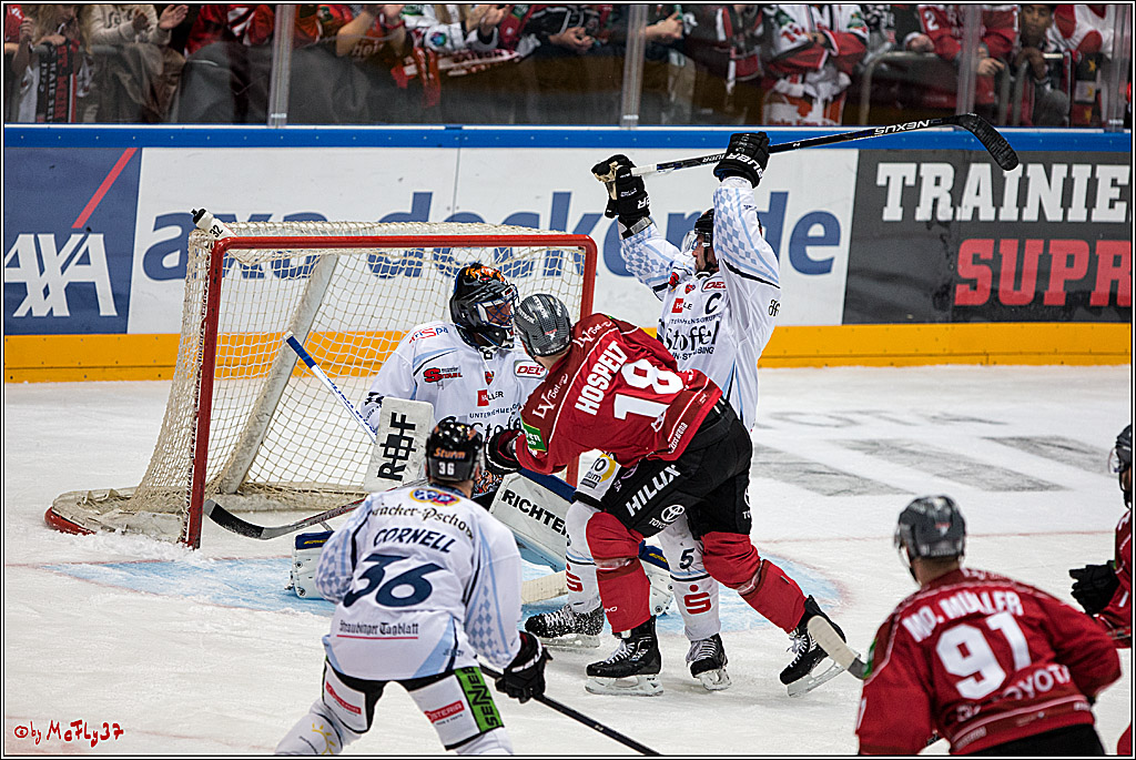 Koelner Haie - Straubing Tigers, 03.10.2016